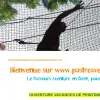 PASTRE AVENTURE