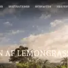Amazing Tours