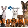 Dr. med. vet. Kleintierpraxis zur Steinenschanze