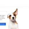 Súkromná veterinárna ambulancia Žilina - Závodie - Cigánik Daniel MVDr.