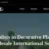 Simoni Plants Decorative
