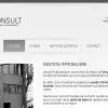 Consult Agency