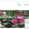 Salvias.be