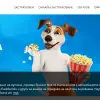 SDI брокер - Застраховки