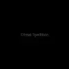 Direkt Spedition